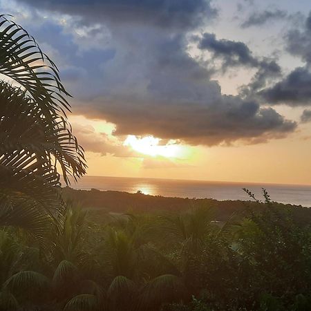 Villa Oasis De Grande Anse Deshaies Exterior foto