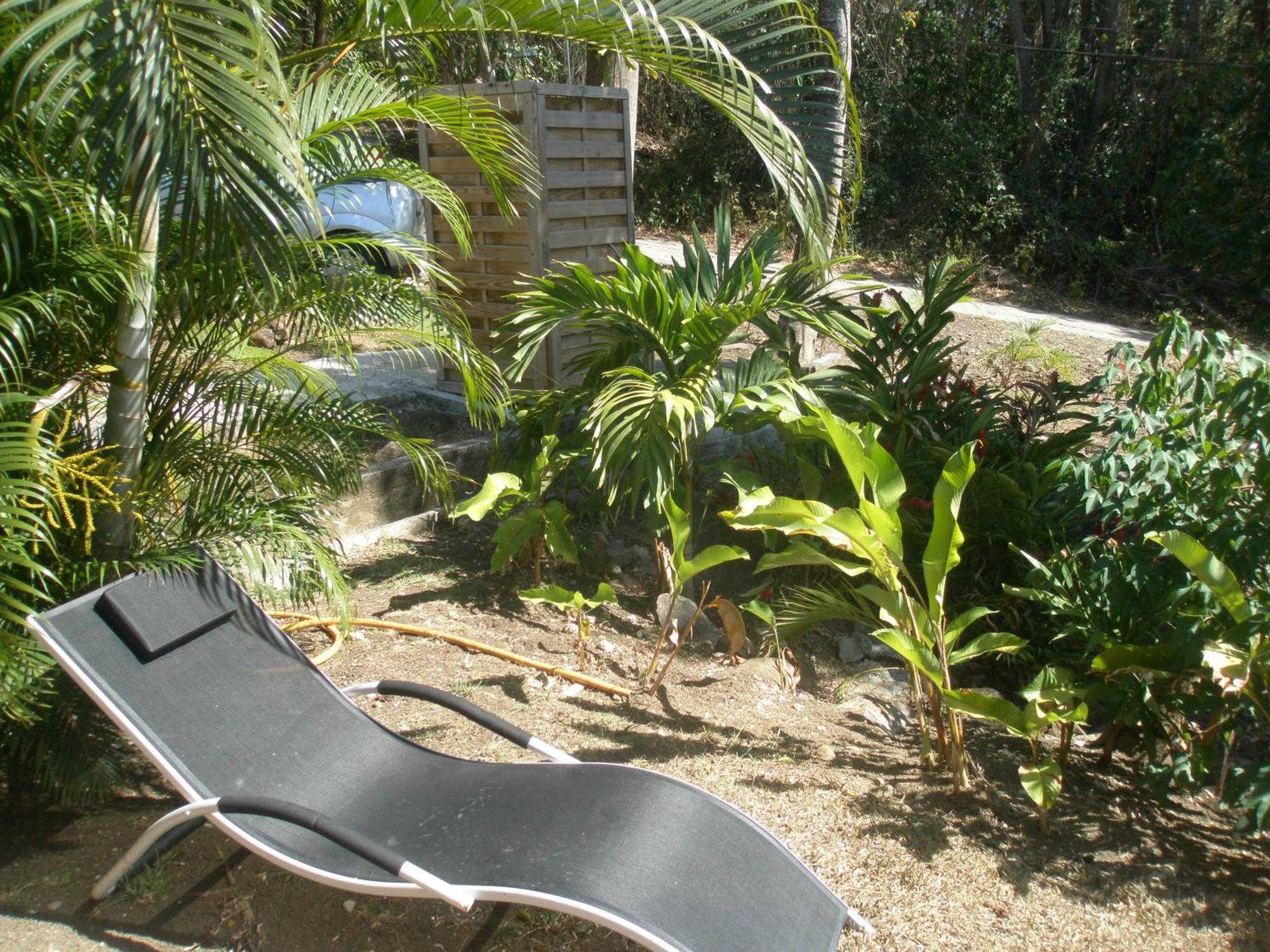 Villa Oasis De Grande Anse Deshaies Habitación foto