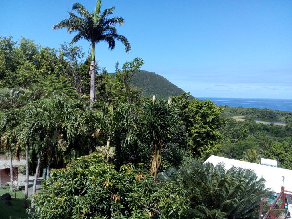 Villa Oasis De Grande Anse Deshaies Exterior foto