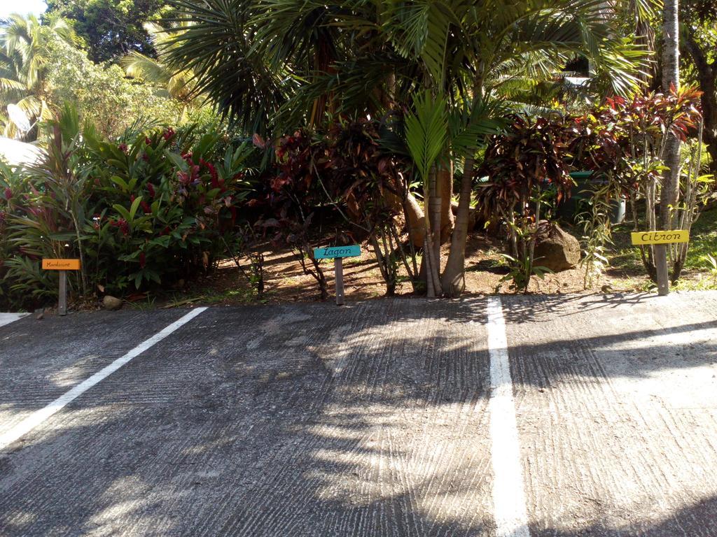 Villa Oasis De Grande Anse Deshaies Exterior foto